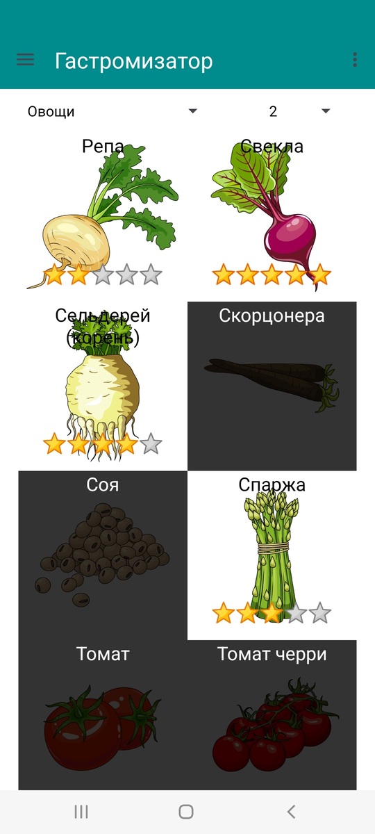 Гастромизатор 2