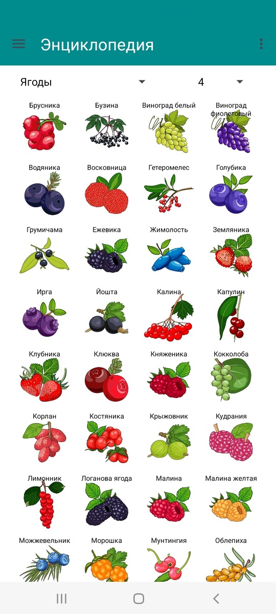 Энциклопедия 1